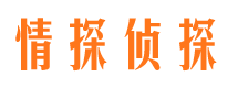 资中市侦探调查公司